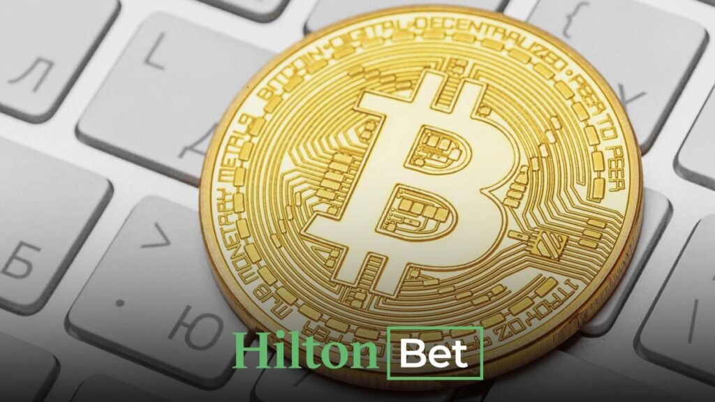 hiltonbet btc yatırımı