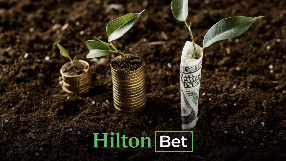 Hiltonbet FixTurka yatırımı