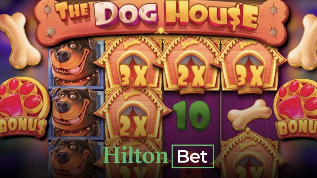 Hiltonbet kazandıran slot oyunları