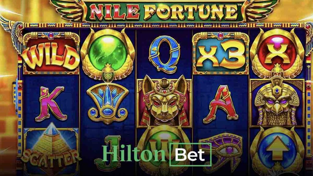 Hiltonbet Nile Fortune oyunu