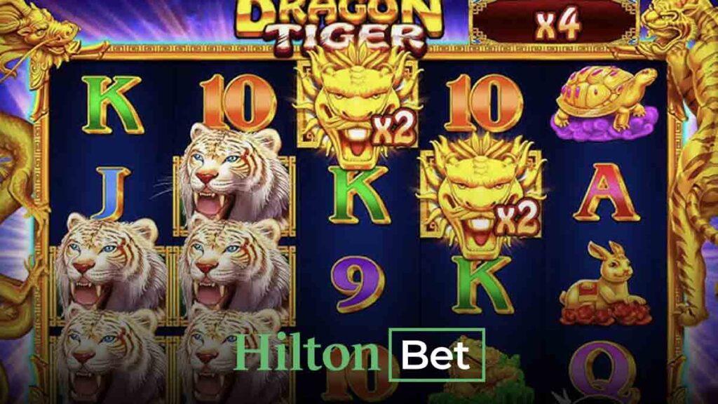 Hiltonbet Speed Dragon Tiger