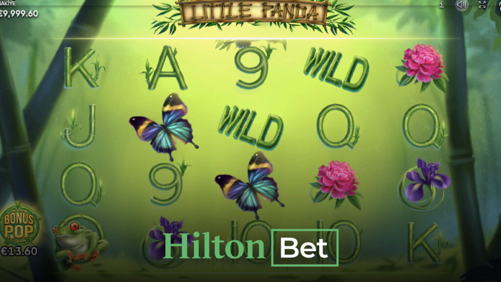 Hiltonbet mayıs ayı zafer turnuvası